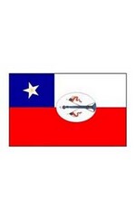Bandera nacional de chile patrimonio cultural